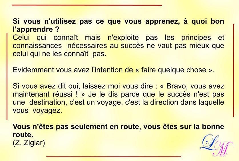 LA FORMATION DE MAGNETISEUR