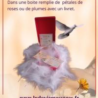 Cadeau plume sans pub 1