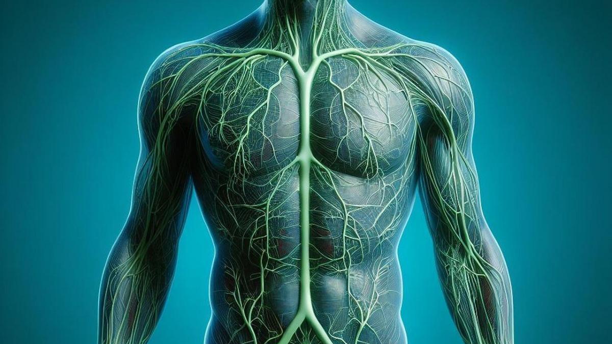 DRAINAGE LYMPHATIQUE