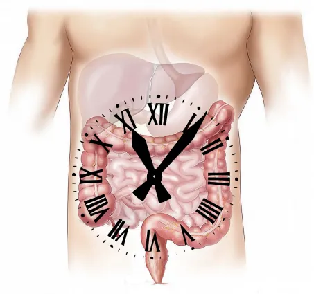 Massage du ventre signification