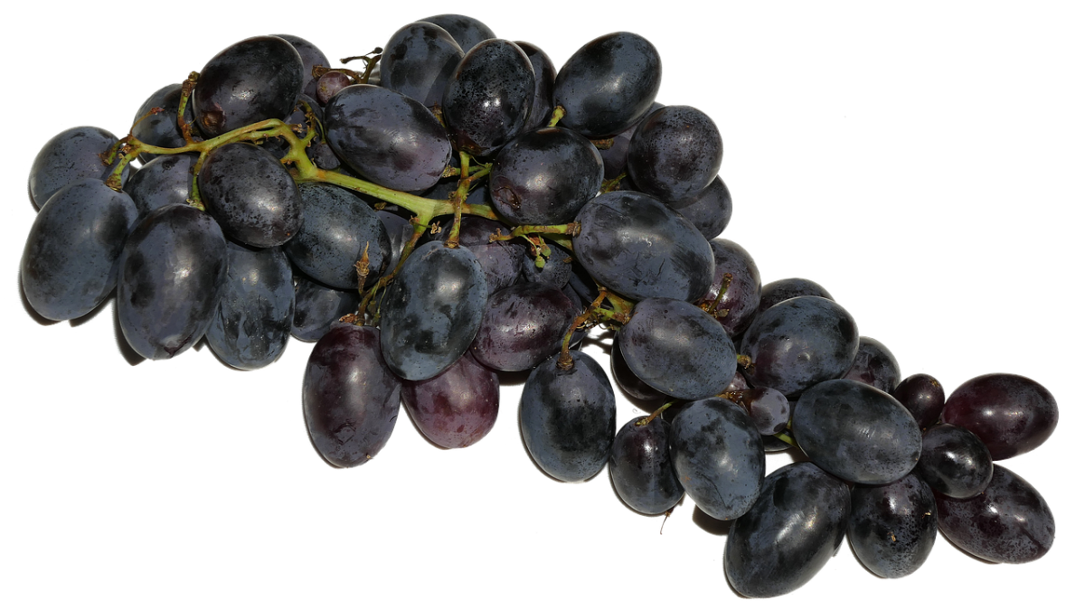 HUILE DE PÉPINS DE RAISINS