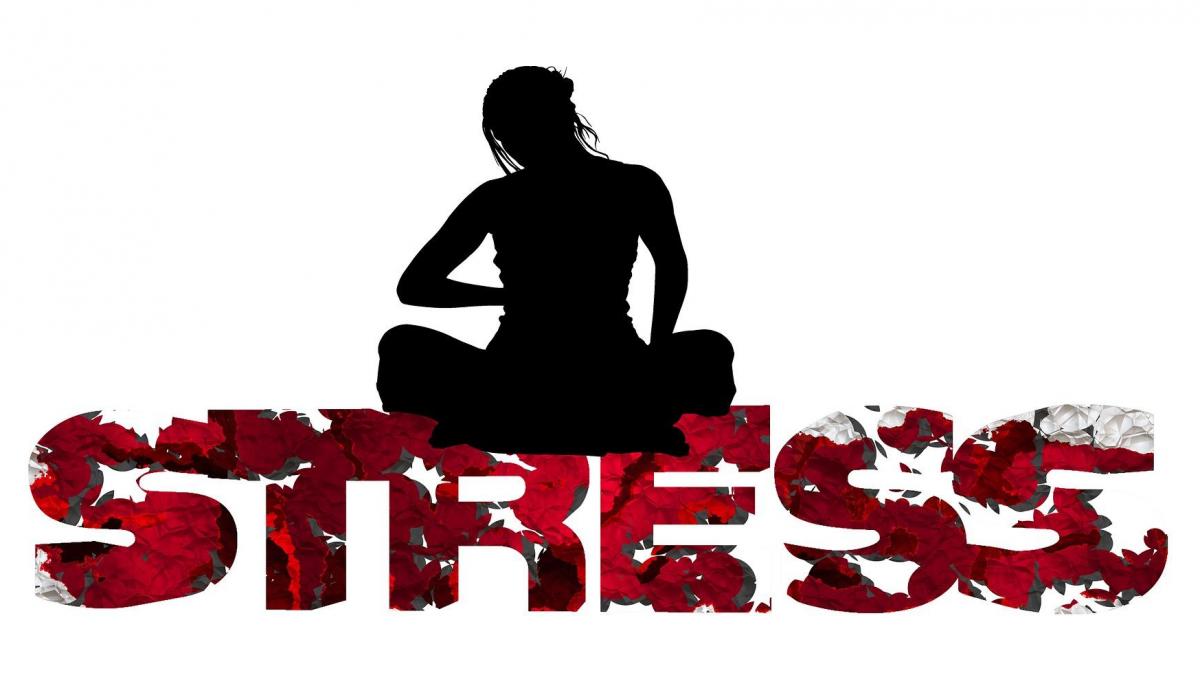 LE STRESS